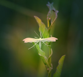 Similar image 7909920