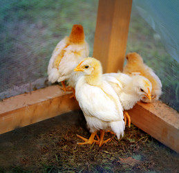 Similar image 7909921