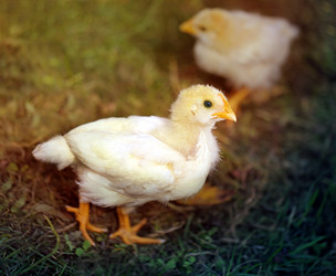 Similar image 7909922