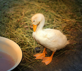 Similar image 7909924