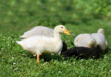 Similar image 7909925