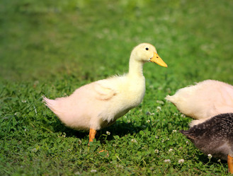 Similar image 7909927