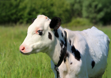 Similar image 7909928