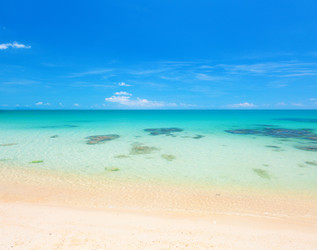 Similar image 7909958