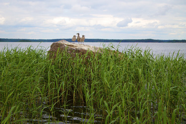 Similar image 7909984