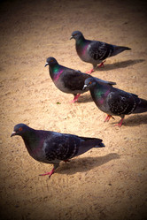 Similar image 7909987