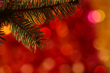 Similar image 7910003