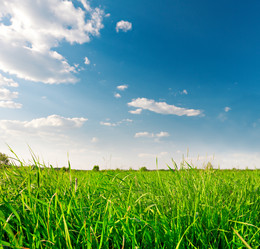 Similar image 7910019