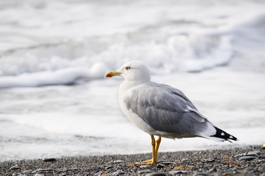 Similar image 7910105