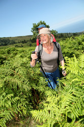 Similar image 7910118