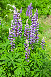 Similar image 7910144