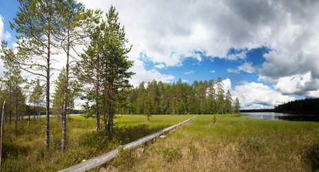 Similar image 7910168