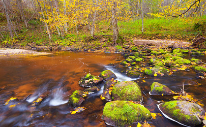 Similar image 7910301