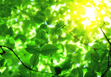 Similar image 7910366