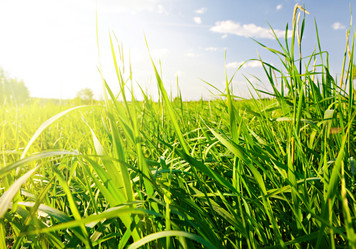 Similar image 7910402