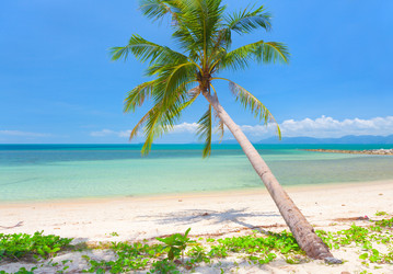 Similar image 7910463