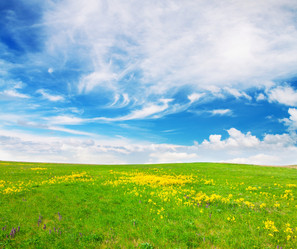 Similar image 7910489