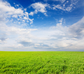 Similar image 7910711