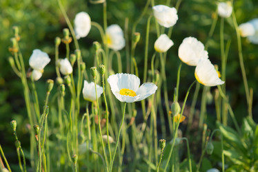 Similar image 7911048