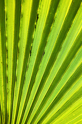 Similar image 7912580