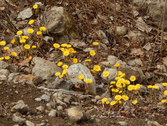 Similar image 7912727