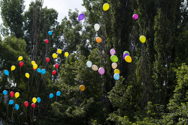 Similar image 7913124