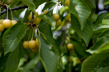 Similar image 7913309