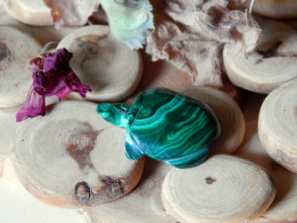 Similar image 7913585