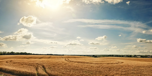 Similar image 7913882