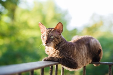 Similar image 7914063