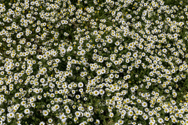 Similar image 7914153