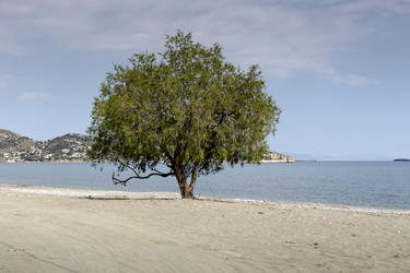 Similar image 7914298