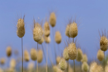 Similar image 7914299