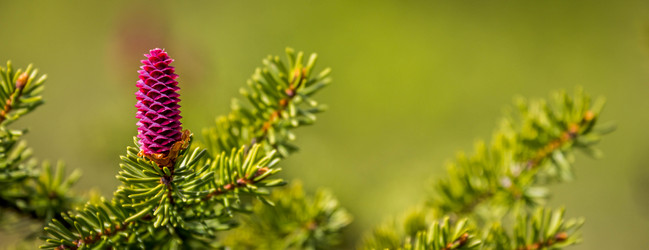 Similar image 7914348