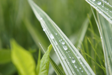 Similar image 7915007