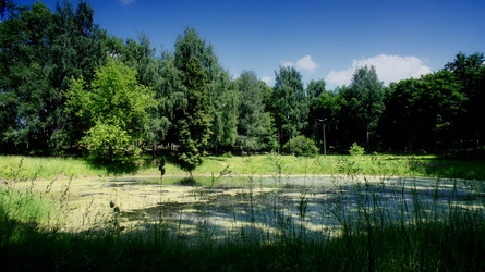 Similar image 7915008