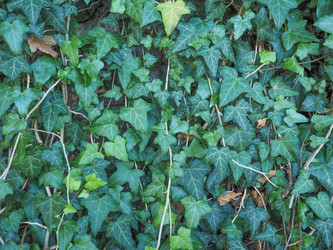 Similar image 7915375