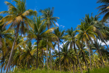 Similar image 7915448