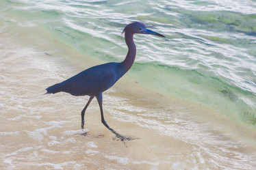 Similar image 7915468