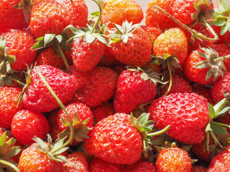 Similar image 7915485