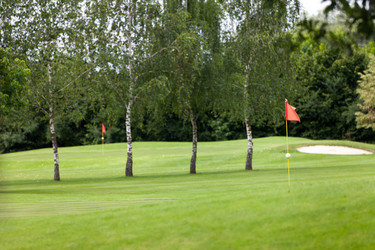 Similar image 7915691