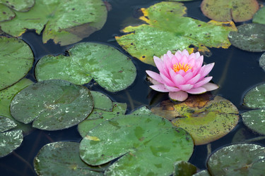 Similar image 7915692