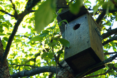 Similar image 7948016