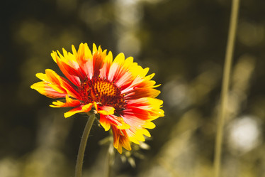 Similar image 7948017