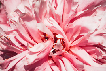 Similar image 7948019