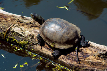 Similar image 7948020