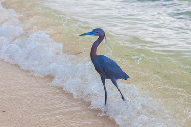 Similar image 7948021