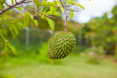 Similar image 7948024