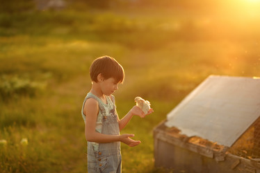 Similar image 7948031