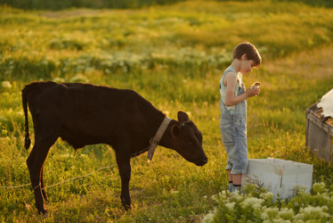 Similar image 7948033